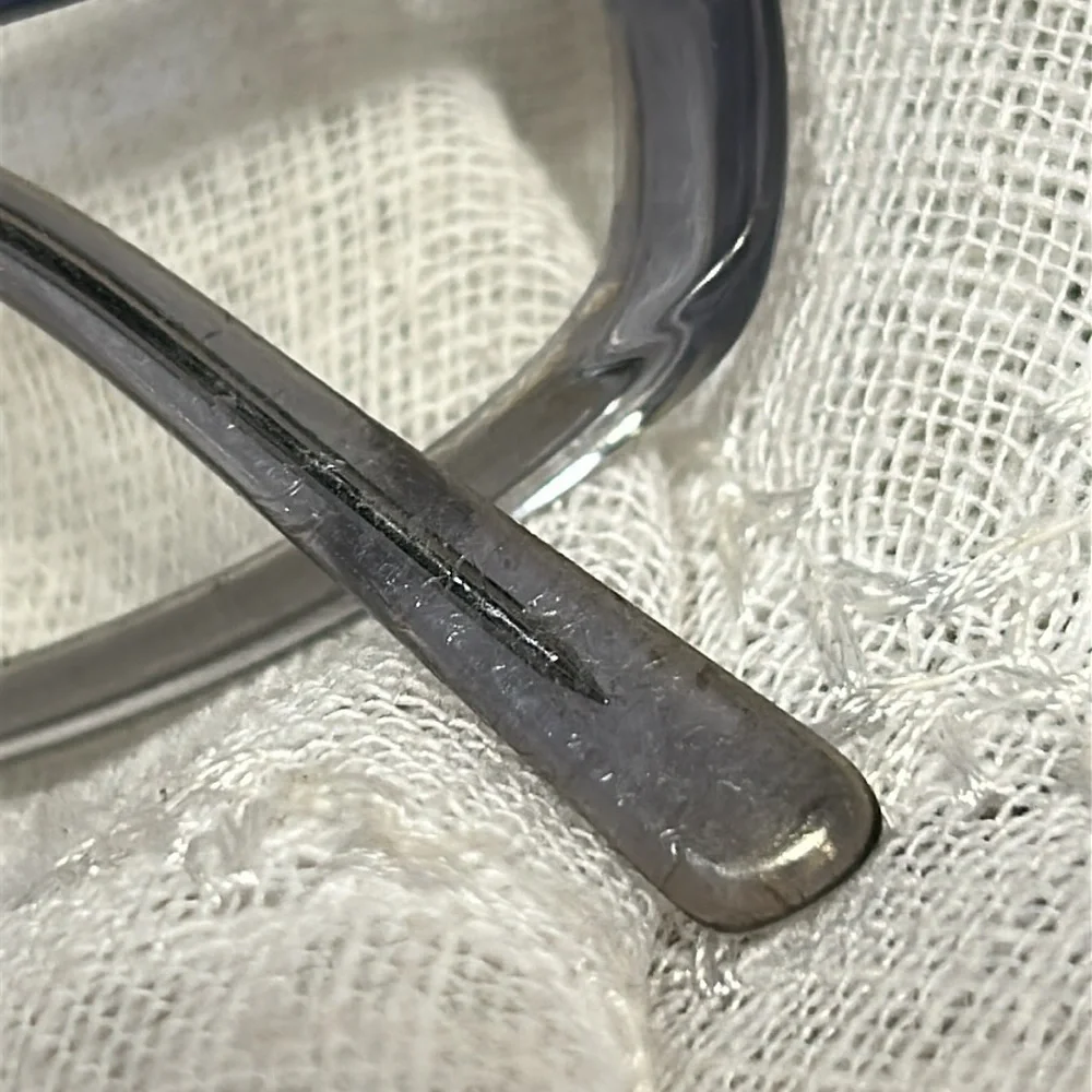 Salvatore Ferragamo frames with crystals and a case
